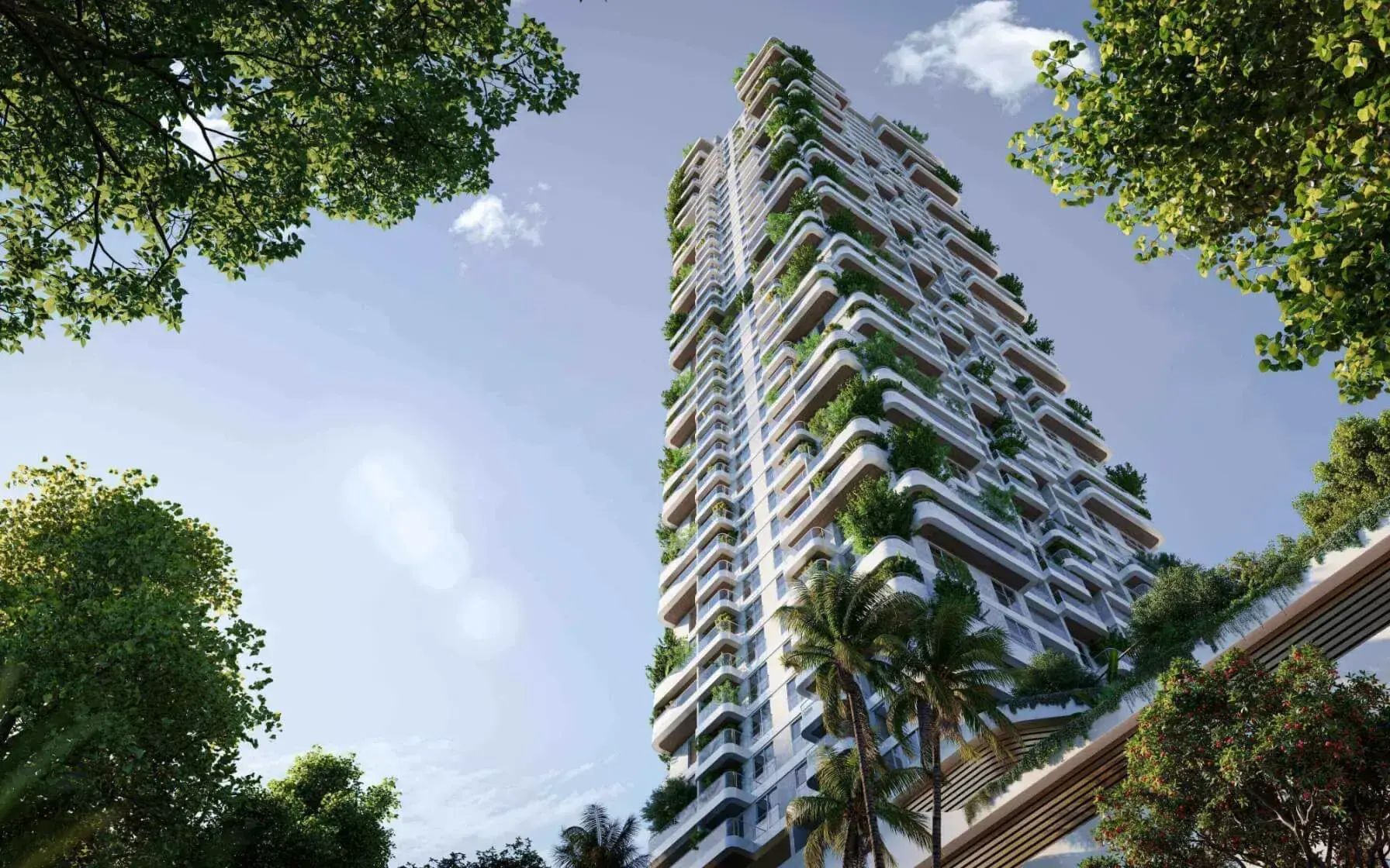 Talea exterior