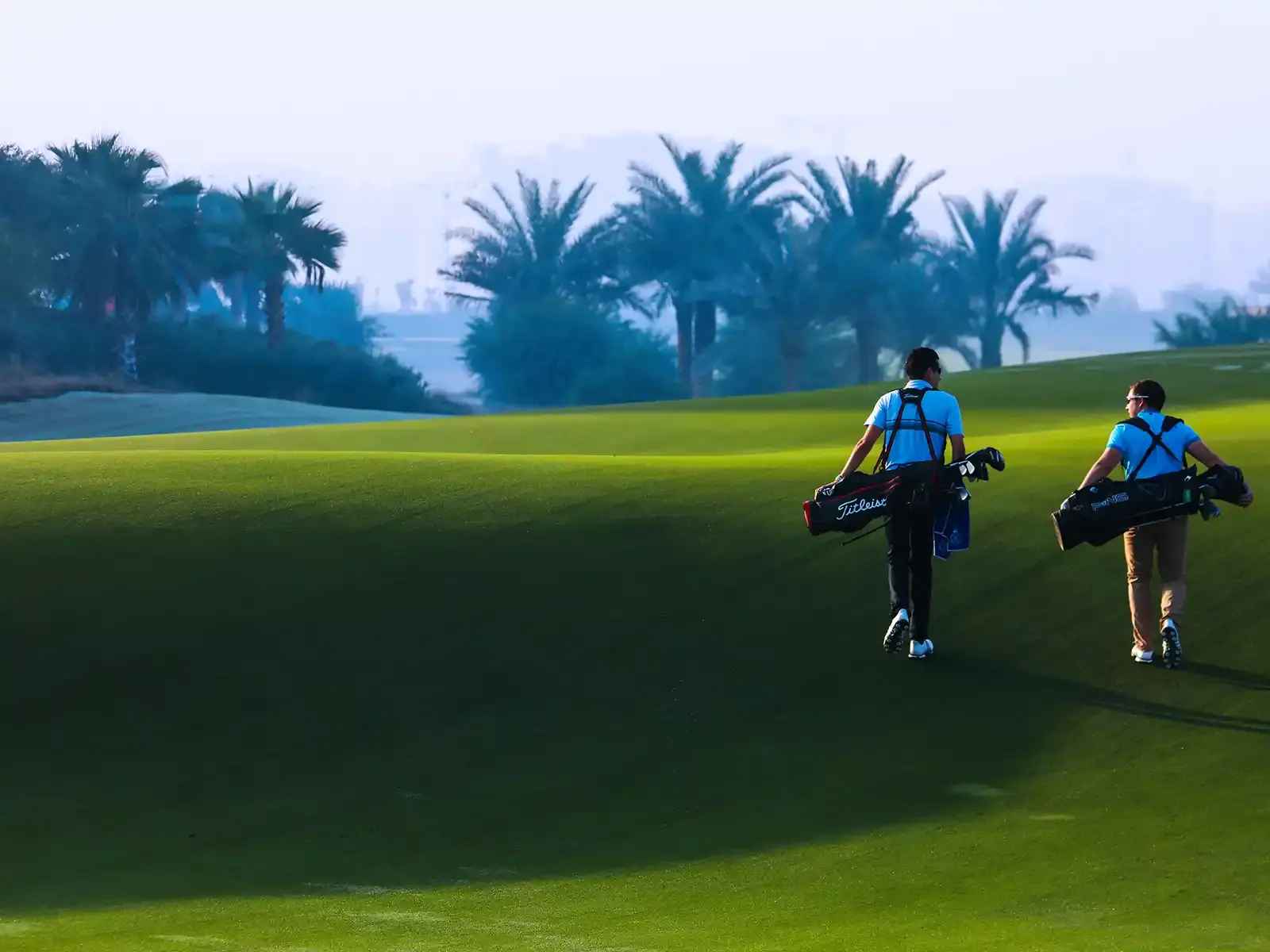 Golf Greens golf course