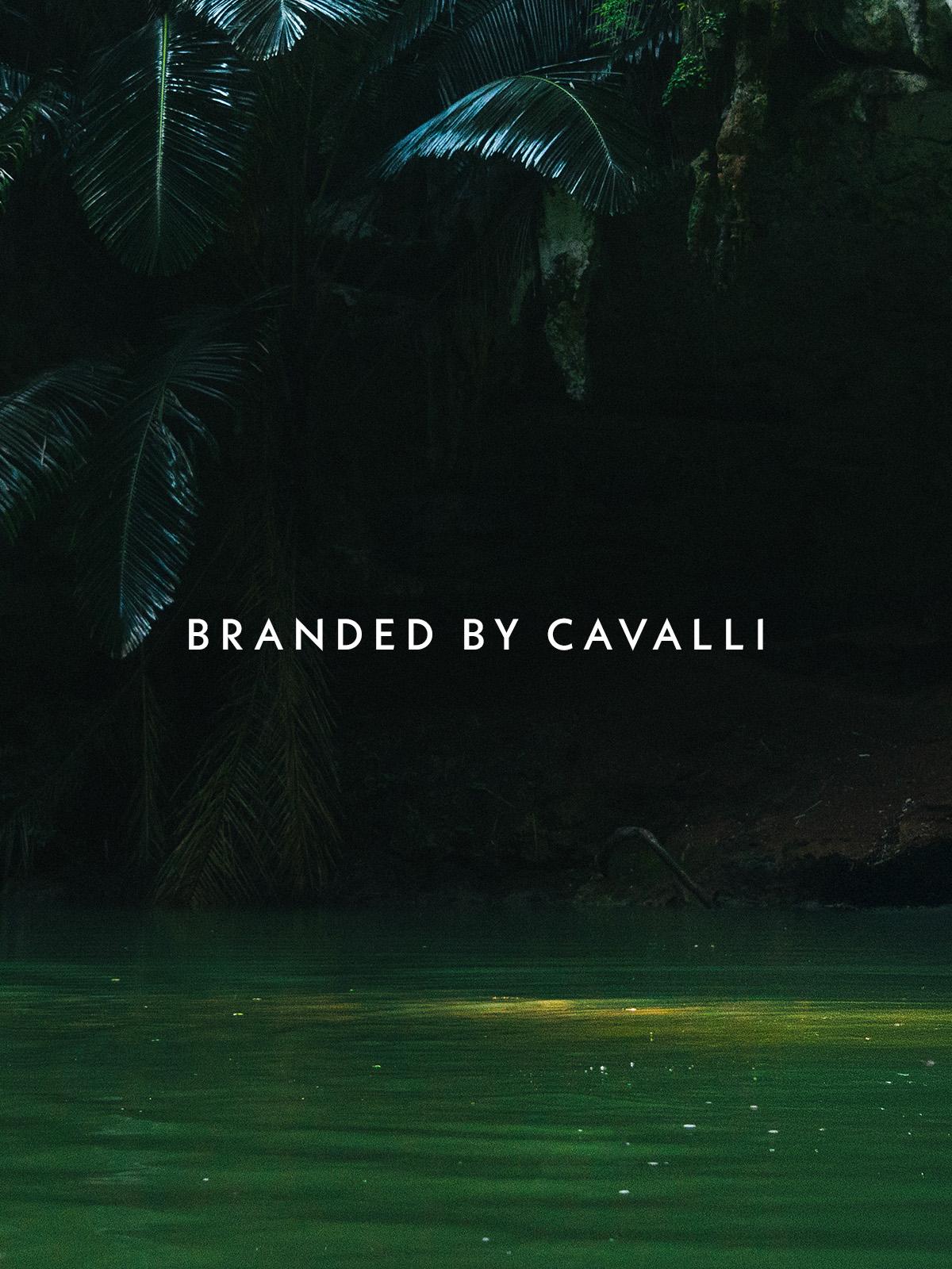 DAMAC Bay 2 by Cavalli